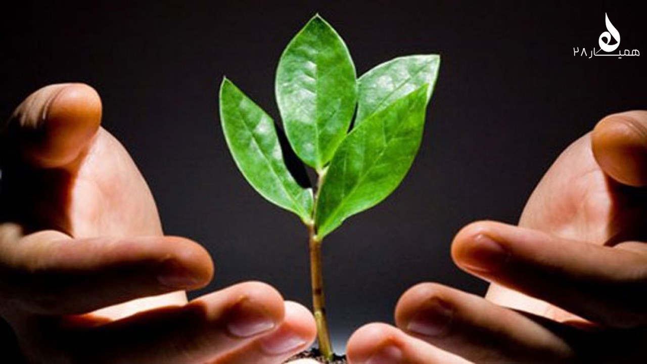 فطرت در تربیت دینی چه جایگاهی دارد؟ نقش مربی در تربیت دینی